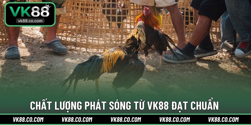 Chất lượng phát sóng từ VK88 đạt chuẩn 