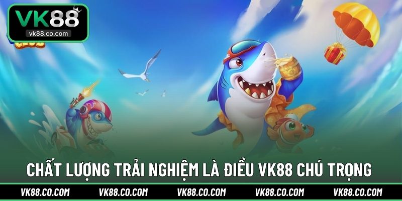 Chất lượng trải nghiệm là điều VK88 chú trọng 