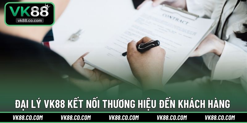 Đại lý VK88 kết nối thương hiệu đến khách hàng 
