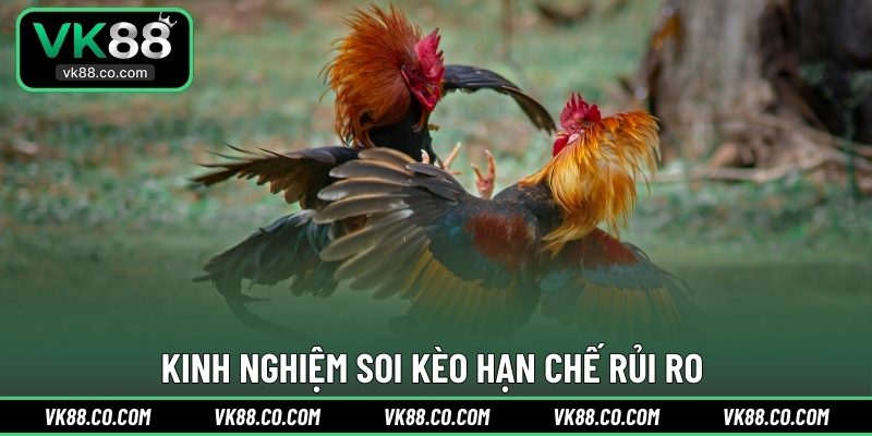 Kinh nghiệm soi kèo hạn chế rủi ro 