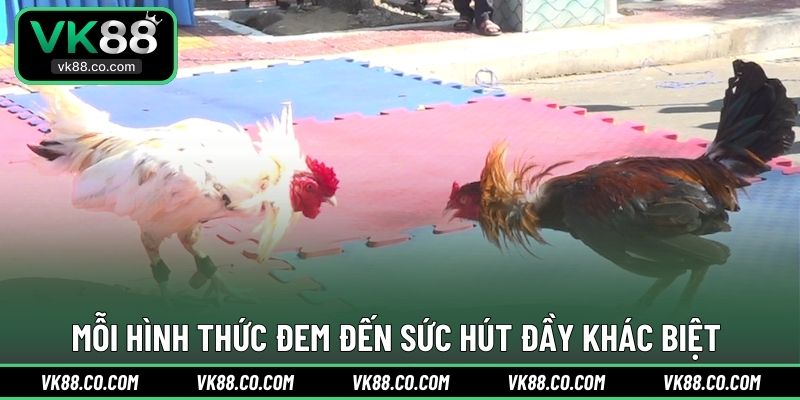 Mỗi hình thức đem đến sức hút đầy khác biệt 