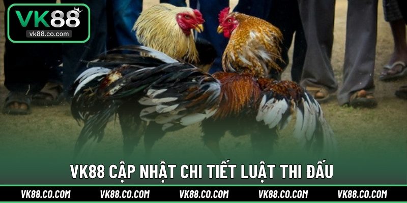 VK88 cập nhật chi tiết luật thi đấu 
